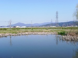 20110413odani (2).jpg